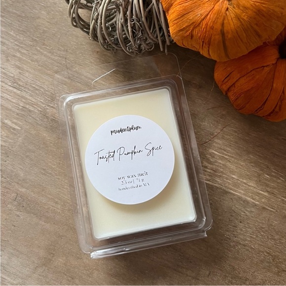 Fall Fragrance Soy Wax Melt Mystery Bundle | 3 Clamshell | Melts For Wax Warmer - Picture 8 of 16